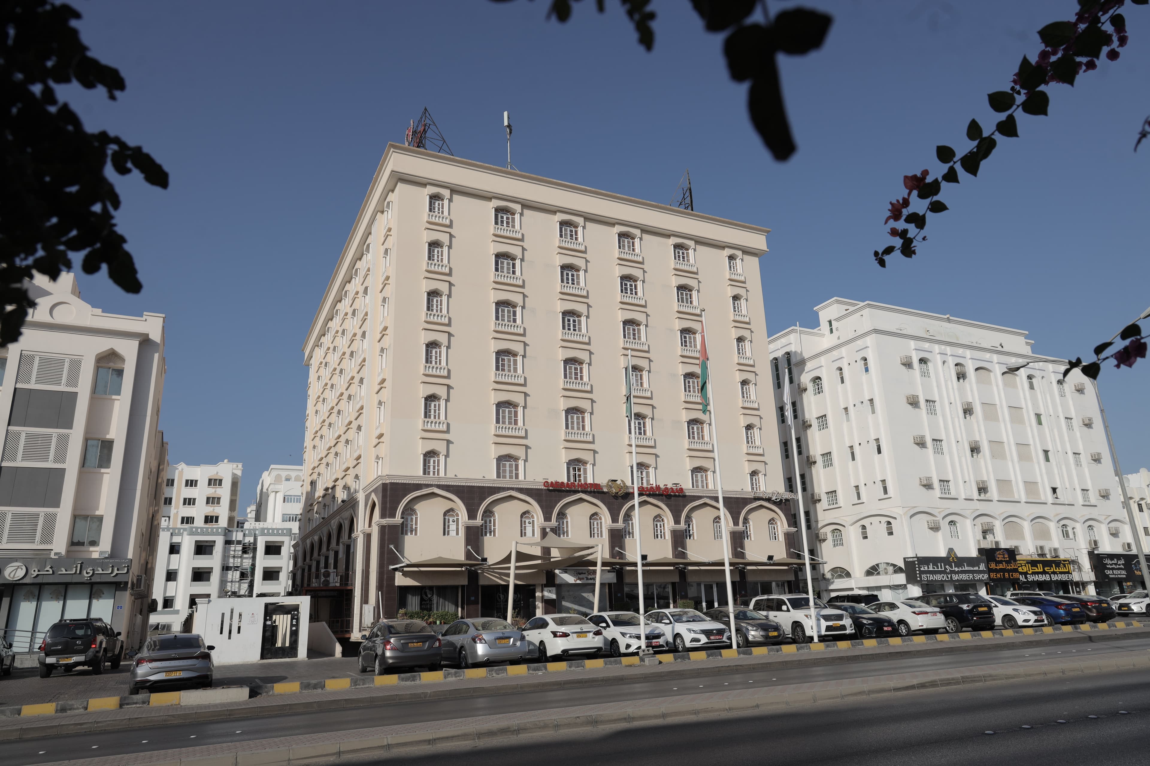 Caesar Ekta Nagar, Statue of Unity